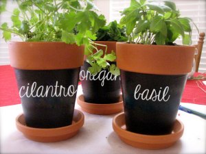 herb-labels-for-flowerpots-etsy-2